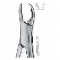 Cook (Upper Molars left)