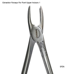 Extraction Forceps For Front Upper Incisors 1