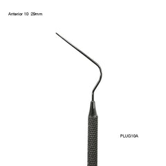 Anterior 10 (29mm)