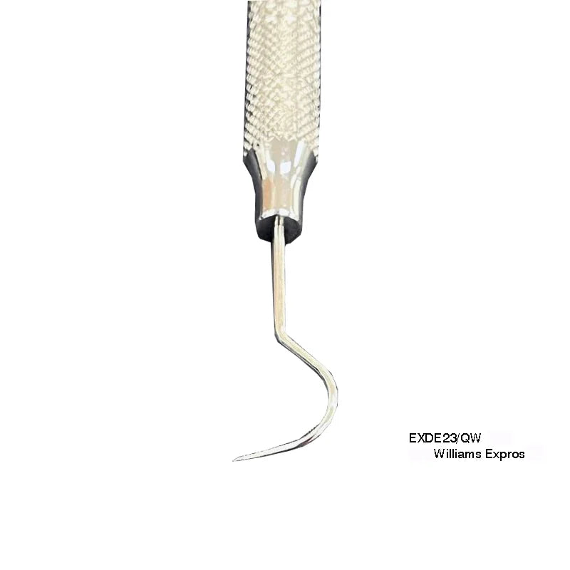 23/QW Williams Expros - Fortec 
