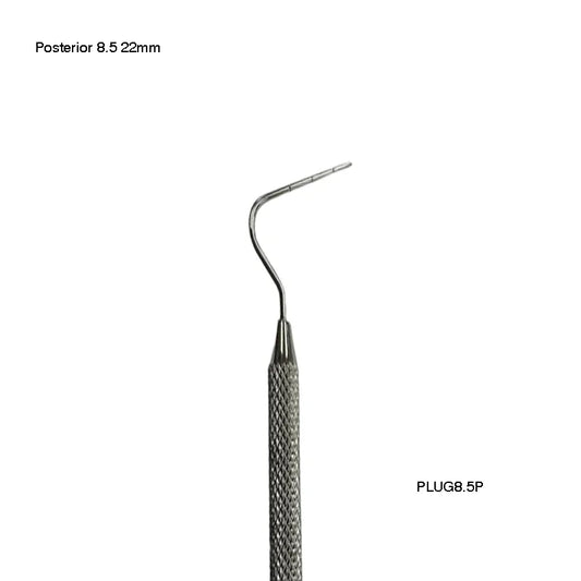 Posterior 8.5 (22mm)